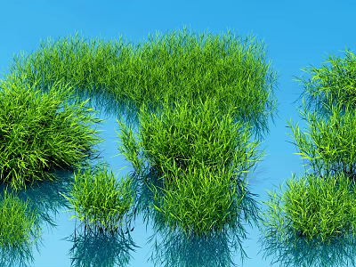 Green Shrubs Growing In Blue Water With Clear Reflections On Surface 3d model