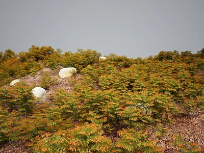 Bushes with green and orange leaves and white stones under gray sky 3d model