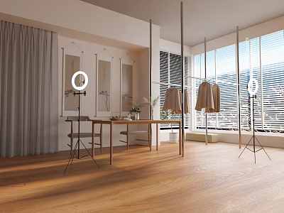 Sunlit Modern Apparel Specialty Store With Complete Live Streaming Equipment And Neat Clothing Display Space 3d model
