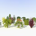 Various Arbor Species With Different Shapes Sizes And 3D Models 3d model