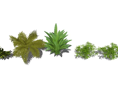 Various Green Shrubs with Lush Foliage and Diverse Leaf Shapes for Garden Landscaping 3d model