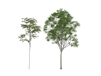 The Modern Tree 3d model