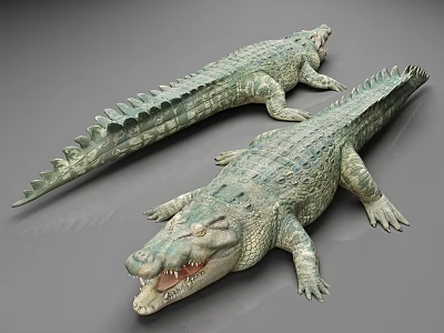 Two Realistic Reptile Crocodile 3D Models With Open Mouth Scaly Texture On Gray Background 3d model