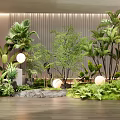 Indoor Plant Combination Featuring Palms Ferns Small Trees Stone And Round Lights