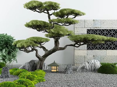 Tranquil Courtyard Garden With Pine Tree Stone Wall Lantern Lush Green Plants And Gravel Ground 3d model