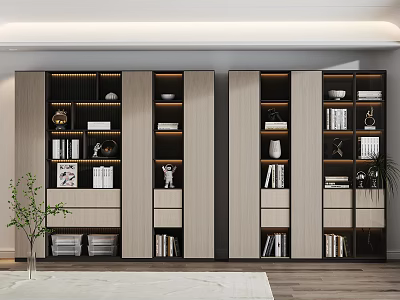Modern Modular Bookcase Interior With Books Decorative Vases Drawers And Green Plants 3d model