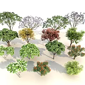 Various Arbor Trees 3D Models with Different Colored and Differently Shaped Leaves on White Background 3d model