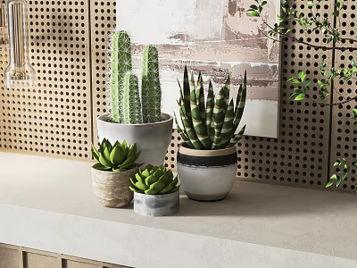 Stylish Potted Succulent Plants With Cactus Aloe Vera In Decorative Pots On Modern Shelf 3d model