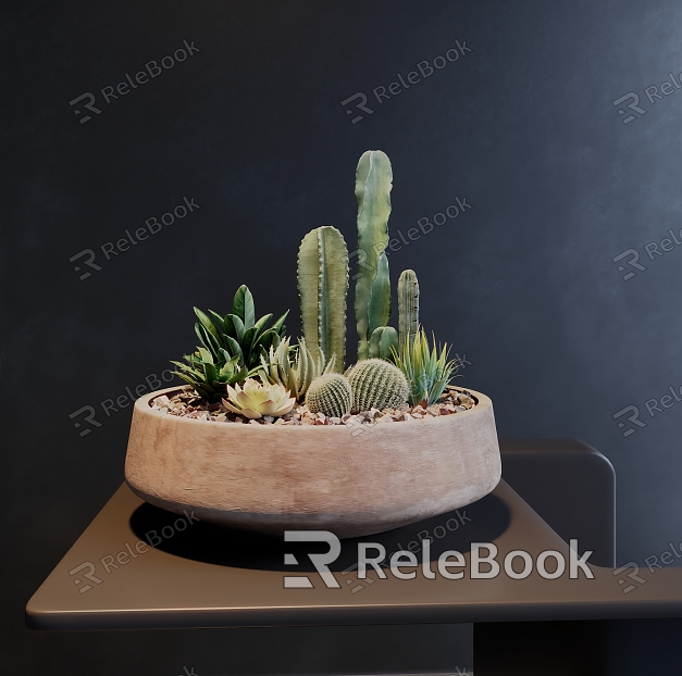 cactus plant potted model