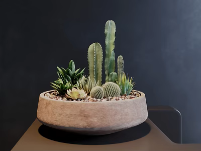 Bonsai Potted Plant with Cactus and Succulents in Terracotta Pot on Brown Table Dark Background 3d model