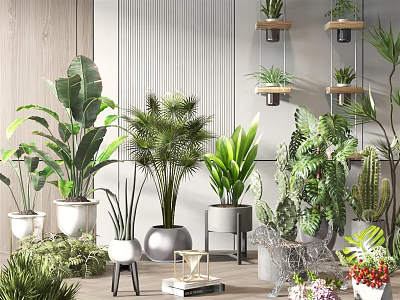 Various Bonsai Potted Plants With Different Pots For Indoor Home Decor 3d model