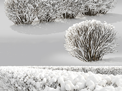 modern shrub winter snow shrub hedge model