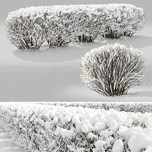 modern shrub winter snow shrub hedge 3d model