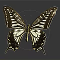 Modern Butterfly Colored Butterfly Tabby Butterfly Leaf Butterfly 3d model