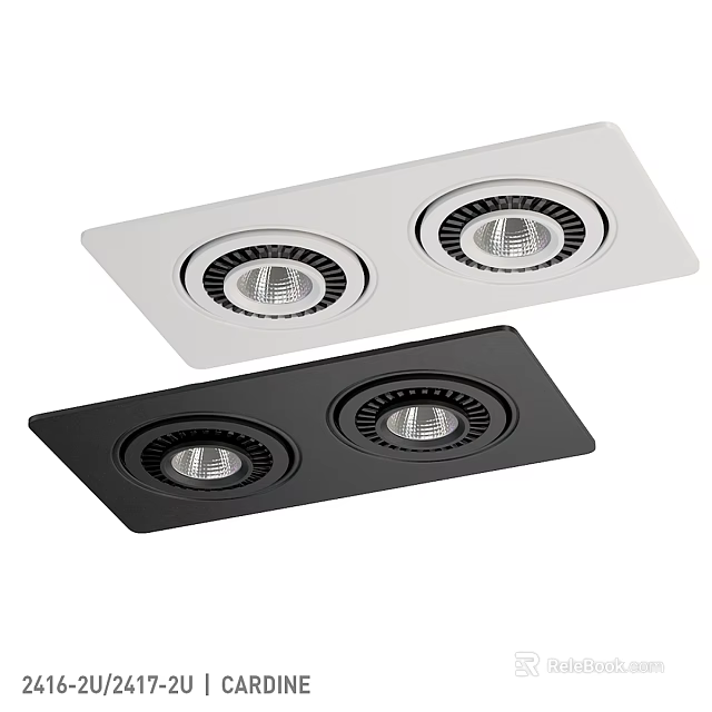 Modern Rectangular Two Head Downlights Spotlights in White and Black Finish 3d model 