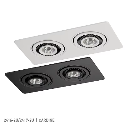 Modern Rectangular Two Head Downlights Spotlights in White and Black Finish 3d model