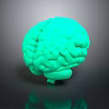 Advanced Medical Device 3D Brain Anatomical Model for Neuroscience Research and Training