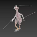 Featherless Chicken With Red Comb And Yellow Feet On Black Background