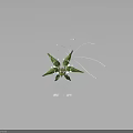 Green Fantasy Character Creature With Detailed Wings And Long Antennae 3D Model Design
