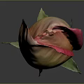 Vibrant Rose with Pink and Yellow Gradient Petals Green Stem and Leaves on Gray Background