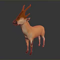 Orange Deer with Brown Antlers Black Nose White Belly in 3D Rendering on Gray Background
