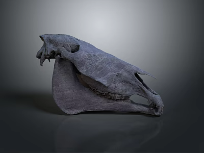 High Precision 3D Rendered Animal Skull Model Medical Device for Anatomical Education 3d model