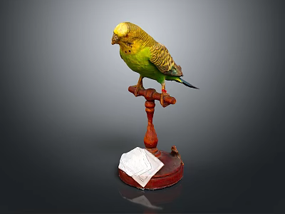 Green Yellow Budgerigar Perched On Red Stand With White Paper At Base 3d model