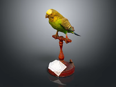 bird game animal cartoon animal realistic animal 3d model