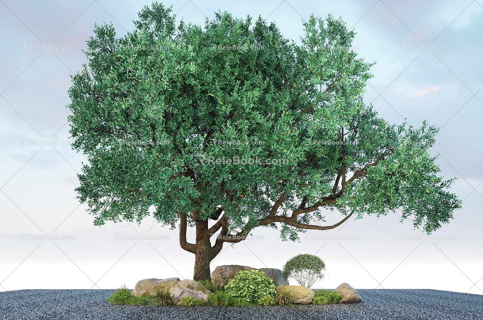 Modern Landscape Trees Oil Olive Trees Landscape Trees Street Trees 3d model