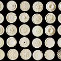 European Style Lamp Plate Gypsum Carved Lamp Plate Simple European Disc Round Lamp holder French Style Gypsum Lamp Plate Retro Lamp Plate Pendant Lamp Base Lamp Plate Component 3d model