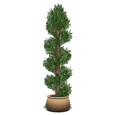 Modern potted potted plant 3d model