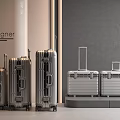 Designer Suitcases Collection With Sleek Metallic Silver Finish And Modern Stylish Handles Wheels