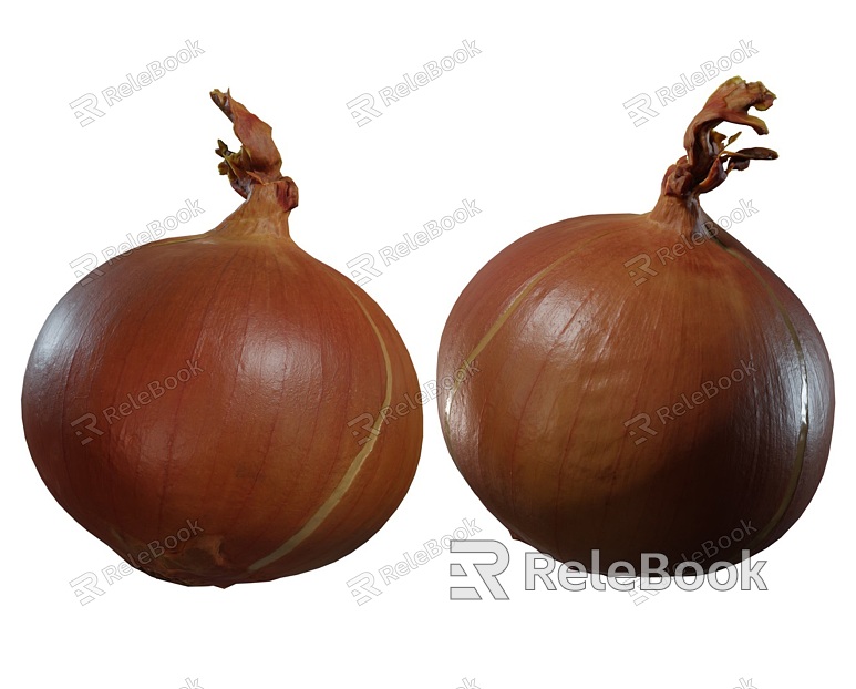 Onion and onion model