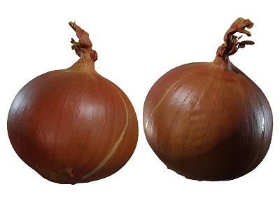 Onion and onion model