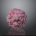 Pink Human Organ With Hairy Surface And Textured Structure On Dark Background