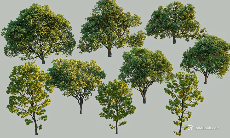 Diverse Types of Vibrant Arbor Trees with Lush Green Foliage for Landscaping 3d model 