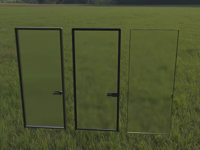 Three Glass Doors With Black Frames Standing On Green Grass Field 3d model