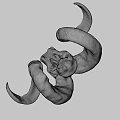 Animal Skull With Curved Horns And Natural Texture On Gray Background