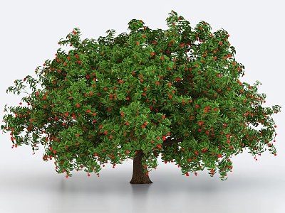 Beautiful Lush Arbor With Dense Green Leaves Bright Red Fruits And Brown Trunk 3d model