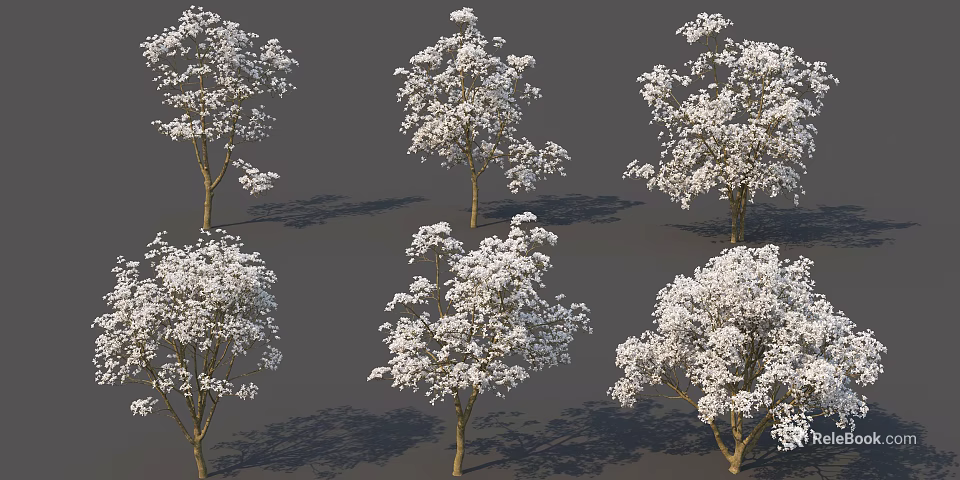 Beautiful Arbor Trees With White Flowers In Various Natural Forms 3d model 