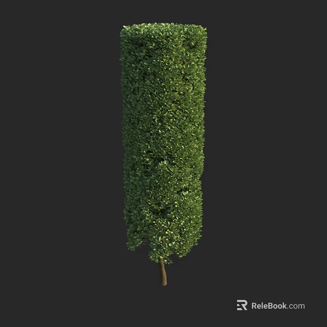 Trimmed Cylindrical Evergreen Arbor With Lush Foliage For Garden Landscape Design 3d model 