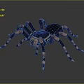 Realistic 3D Spider Model Featuring Black Body And Orange Striped Legs 3d model