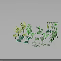 Various Green Plants With Different Leaf Types And Varied Sizes On Black Background 3d model