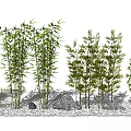 Garden Miniature Landscape With Various Trees Bamboo Rocks And Green Grass