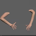 Detailed Amputated Arm Models Amputated Above Elbow With Palms Facing Each Other Against Blue Background