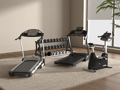 Home Gym Fitness Equipment Including Treadmill Dumbbell Rack And Exercise Bike 3d model