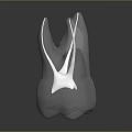 Transparent Rabbit Head Model With Long Ears Smooth Surface And Dark Background 3d model