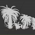 Arbor Trees With Lush Green Foliage And Various Sizes For Landscaping