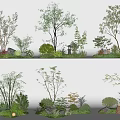 Diverse Landscape Shrubs With Various Shapes Stones And Decorative Lights