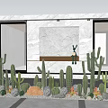 Outdoor Bonsai Potted Plants With Cactus Succulents And Decorative Lights By Marble Wall